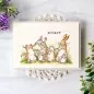 Preview: Proud of You Clear Stamps Colorado Craft Company by Anita Jeram 1