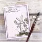 Preview: Rooting For You Stamp & Die Bundle Colorado Craft Company 2