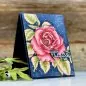 Preview: Smell the Roses Clear Stamps Colorado Craft Company by Big & Bold 1