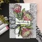 Preview: Protea Flowers clear stamps hero arts 1