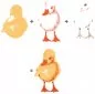 Mobile Preview: Duckling color layering stamp Hero Arts 1