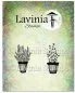 Preview: Rosemary & Thyme Pots Lavinia Clear Stamps