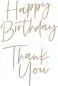Preview: Spellbinders Stylish Script Thank You & Happy Birthday Hot Foil Plate 1