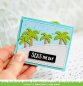 Preview: LF1981 PalmTreeBorder sml 1