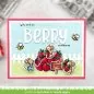 Preview: Berry Special Clear Stamps Lawn Fawn 2