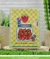 Preview: Stencil Reveal Wheel Templates : Strawberry Lawn Fawn 1