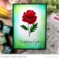 Preview: Everyday Scripted Greetings Clear Stamps My Favorite Things Project 2