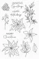 Preview: Pretty Poinsettias Clear Stamps My Favorite Things