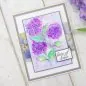 Preview: Hydrangea Hydrangea Blooms Embossing Folder crafters companion 2