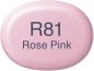 Preview: R81 Copic Sketch Marker