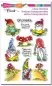 Preview: Gnomaste stampendous clear stamps