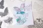 Preview: Painted Pencil Butterflies Sizzix & 49 and Market Framelits Dies & Stamps 3