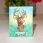 Preview: Designer Boutique - Doodle Deer Clear Stamps Creative Expressions 1