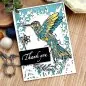 Preview: Designer Boutique - Doodle Hummingbird Clear Stamps Creative Expressions 1