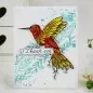 Preview: Designer Boutique - Doodle Hummingbird Clear Stamps Creative Expressions 2