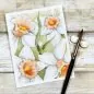 Preview: Daffodil Background Clear Stamps Colorado Craft Company 3