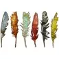 Mobile Preview: Feathery Tim Holtz Thinlits Colorize Dies Sizzix
