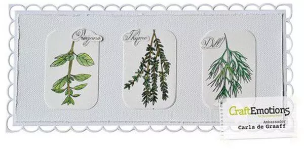 craftemotions clearstamps Herbs carla creaties 1