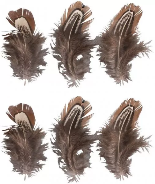 Federn Feathers rayher