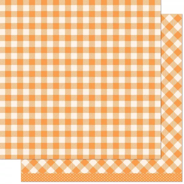 Gotta Have Gingham Rainbow Margaret lawn fawn scrapbooking paper
