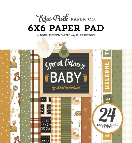 echo park Special Delivery Baby 6x6 inch paper pad