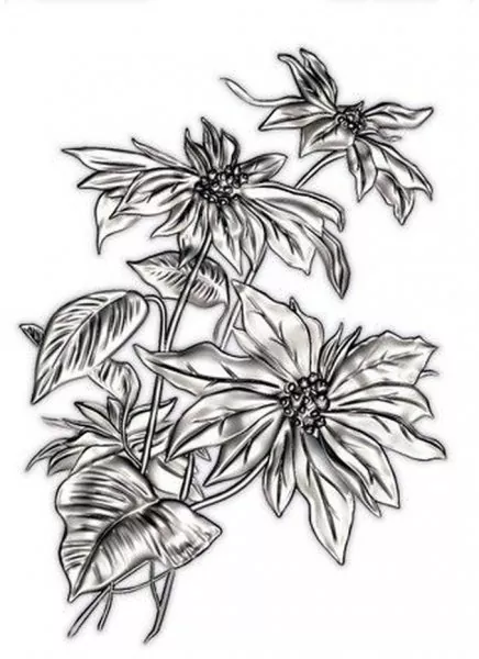 Mini Poinsettia 3D Embossing Folder from Tim Holtz by Sizzix 1