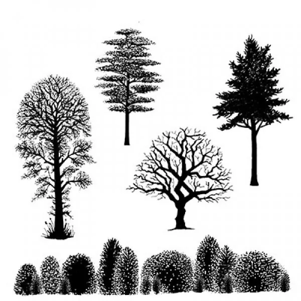 Tree Scene Clear Stamps Lavinia