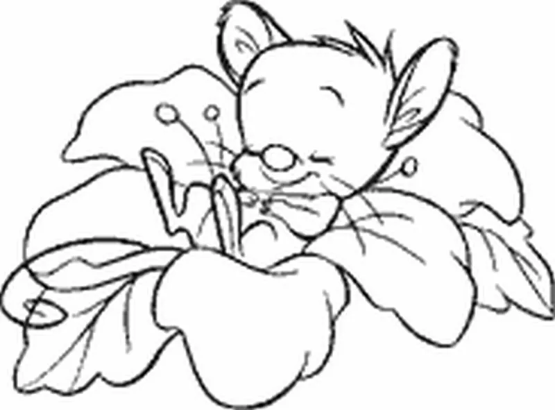 Flower Impronte D'Autore Mounted Rubber Stamps