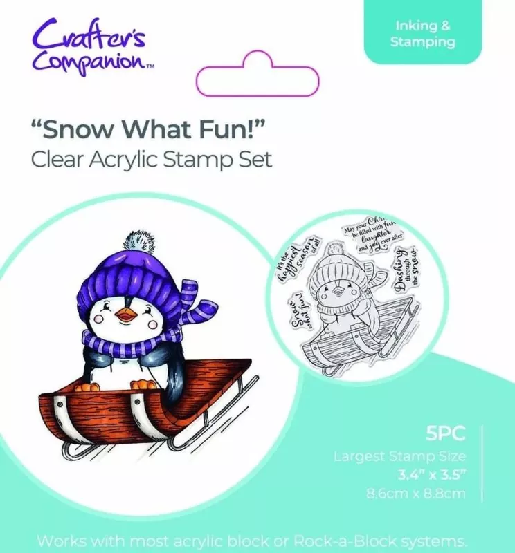 Snow What Fun! stamp set crafters companion