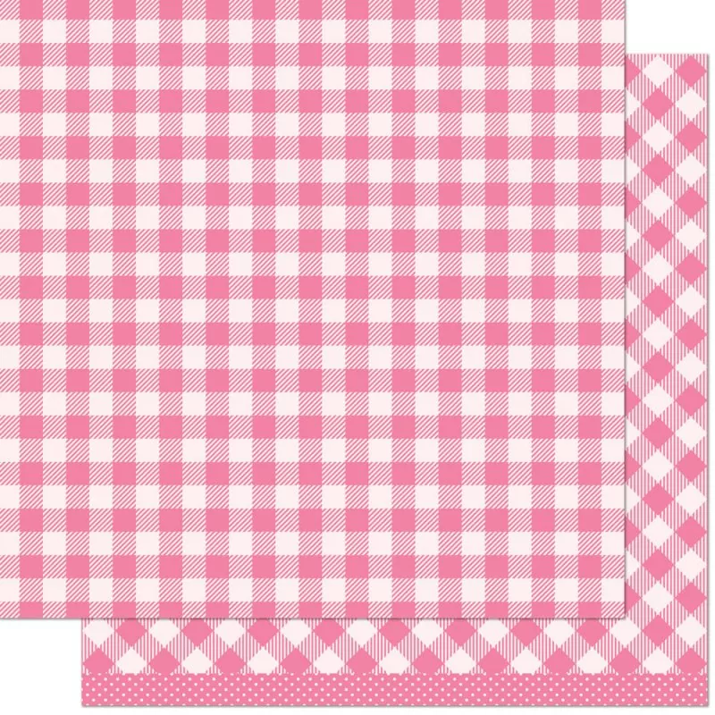 Gotta Have Gingham Rainbow Audrey lawn fawn scrapbooking paper