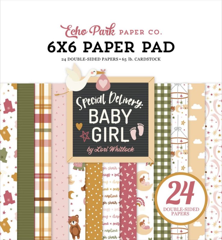 echo park Special Delivery Baby Girl 6x6 inch paper pad