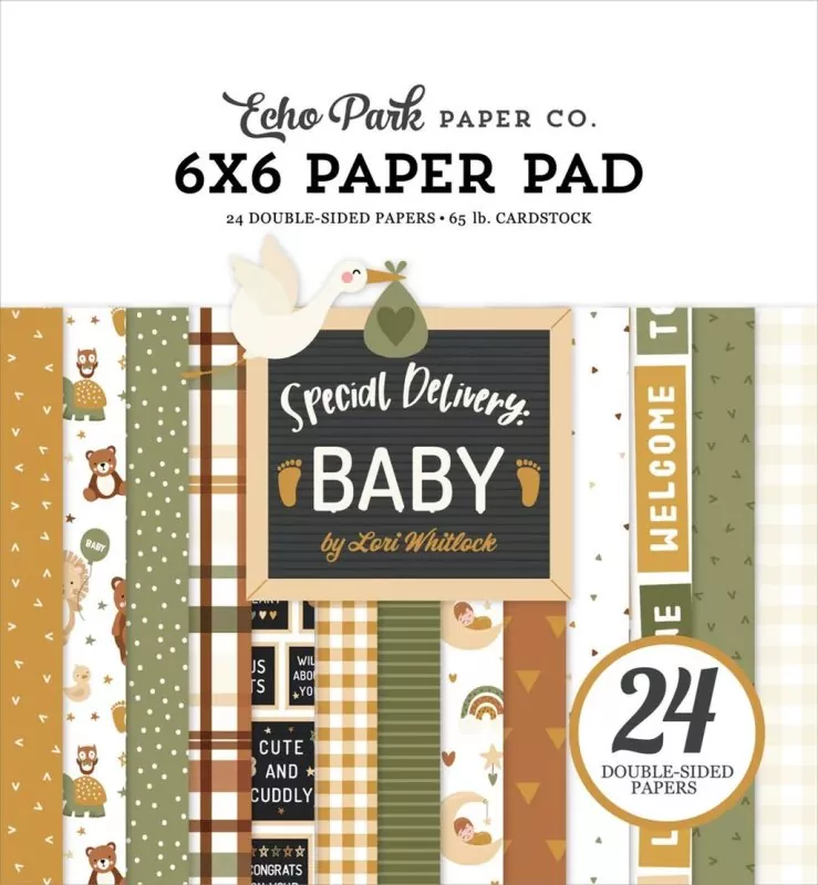 echo park Special Delivery Baby 6x6 inch paper pad