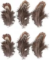Federn Feathers - Rayher