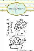 Thinking About Mini - Clear Stamps - Colorado Craft Company