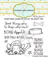 Stay Pawsitive - Clear Stamps - Colorado Craft Company