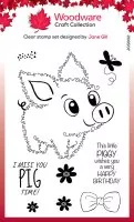 Fuzzy Friends - Pablo The Pig Clear Stamps Woodware Craft Collection