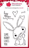 Fuzzy Friends - Bella The Bunny - Clear Stamps - Woodware Craft Collection