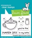 Pumpkin Spice - Clear Stamps