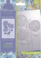 Hydrangea Hydrangea Blooms Embossing Folder crafters companion