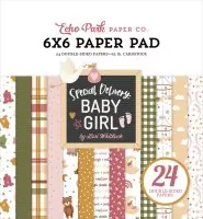 echo park Special Delivery Baby Girl 6x6 inch paper pad