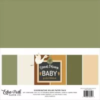 Special Delivery Baby - Coordinating Solids Pack - 12"x12" - Echo Park