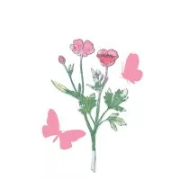 Painted Pencil Botanical - Framelits - Dies & Stamps - 49 and Market - Sizzix