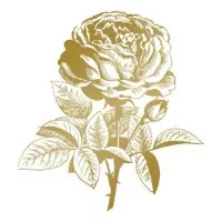 Hotfoil Stamp - Classic Rose