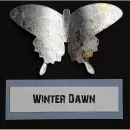 Megaflake Winter Dawn - IndigoBlu