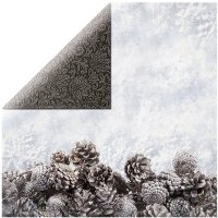 Kaisercraft - Glacial - 12"x12"